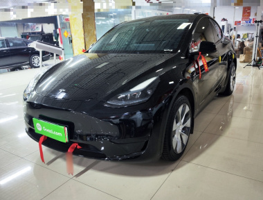 Tesla Model Y 2023 Tesla Model Y 2023 car image