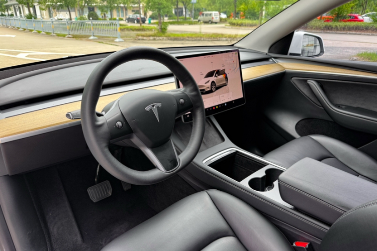 Tesla Model Y 2022 car image #16
