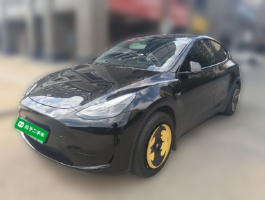Tesla Model Y 2024 car image 
