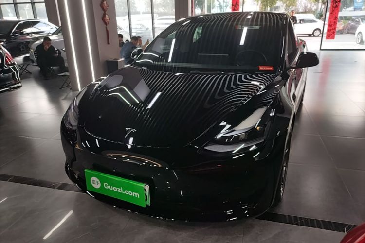 Tesla Model 3 2022 imagem de carro #2