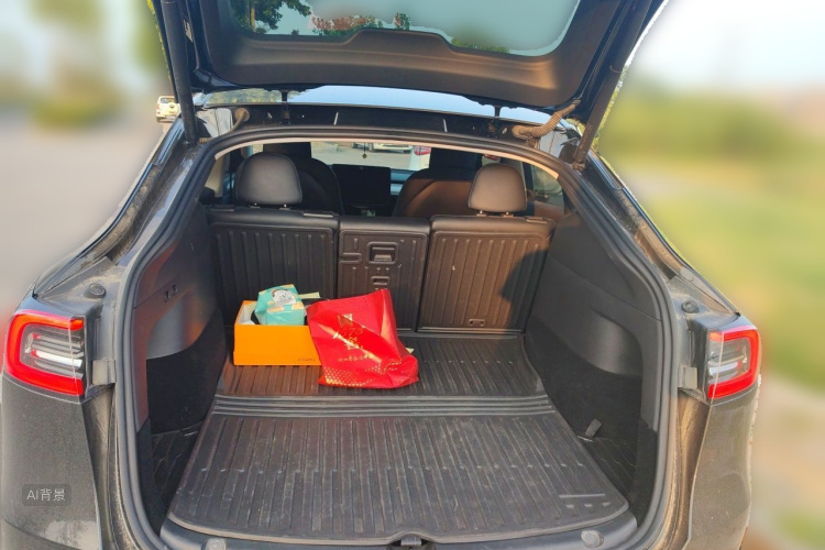 Tesla Model Y 2023 car image #21