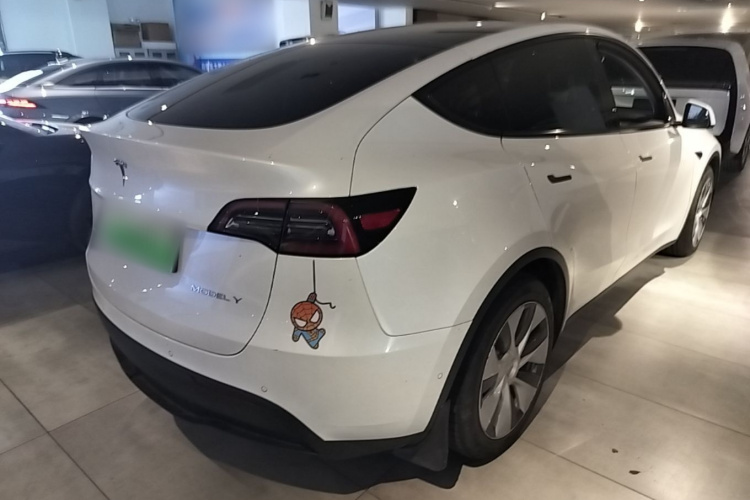 Tesla Model Y 2021 immagine di auto #7