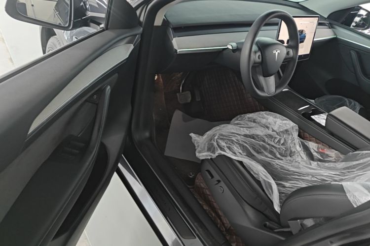 Tesla Model Y 2025 car image #12