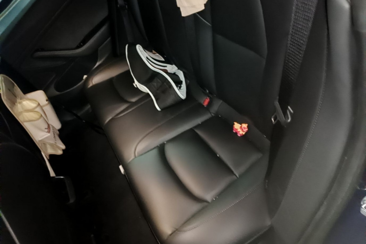 Tesla Model 3 2020 car image #17