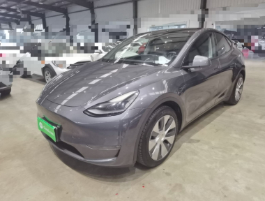 Tesla Model Y 2021 Tesla Model Y 2021 car image