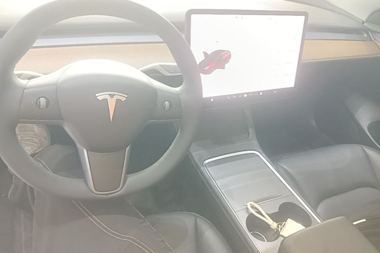Tesla Model 3 2021 immagine di auto #10