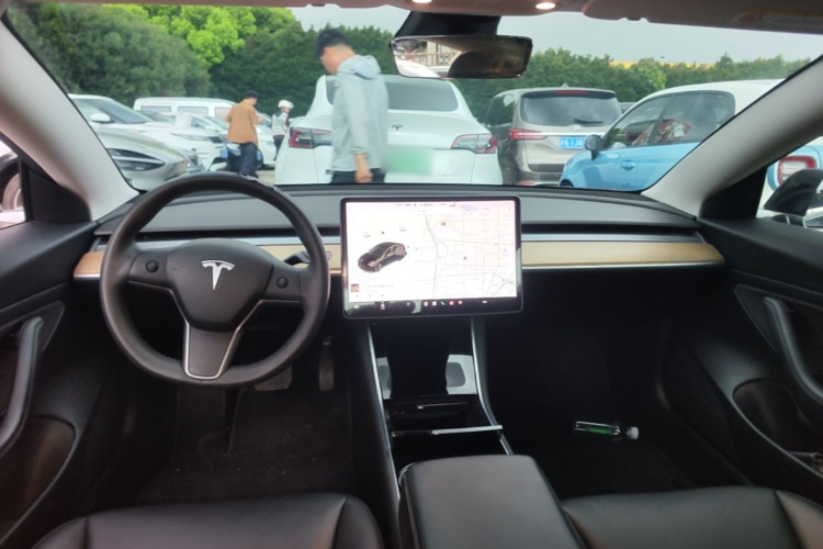 Tesla Model 3 2020 car image #10