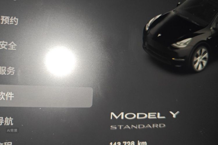 Tesla Model Y 2022 #14 Tesla Model Y 2022 car image #14