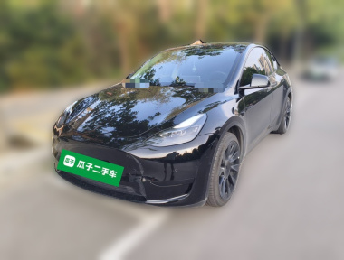Tesla Model Y 2023 car image 