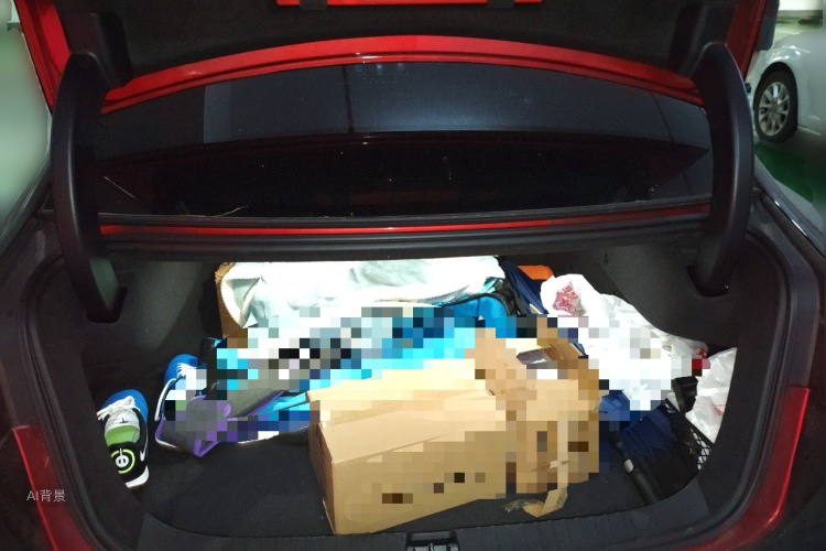BYD Han 2020 car image #21