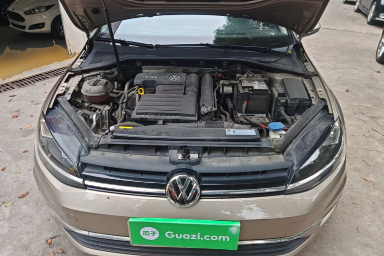Volkswagen Golf 2019 #22 Volkswagen Golf 2019 car image #22