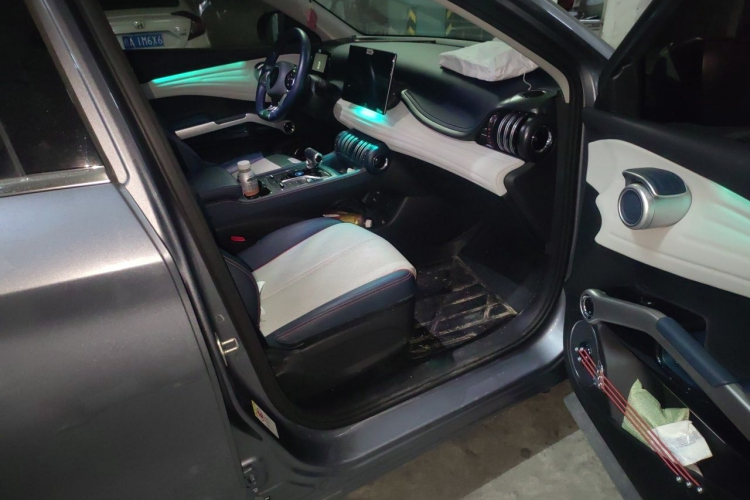 BYD Yuan Plus 2022 #23 BYD Yuan Plus 2022 car image #23