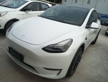 Tesla Model Y 2022 Tesla Model Y 2022 car image