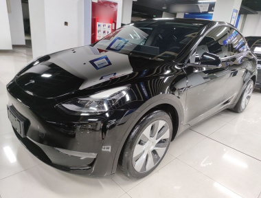 Tesla Model Y 2021 car image 