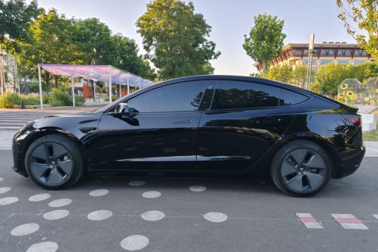 Tesla Model 3 2021 car image #6