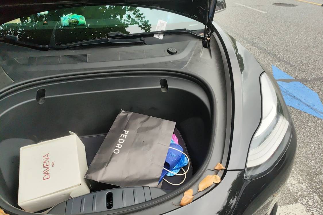 Tesla Model 3 2020 #12 Tesla Model 3 2020 car image #12