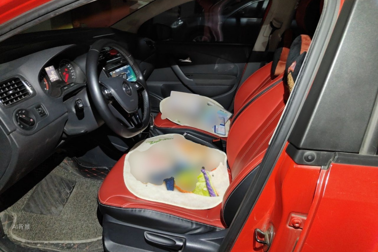 Volkswagen Polo 2017 car image #17