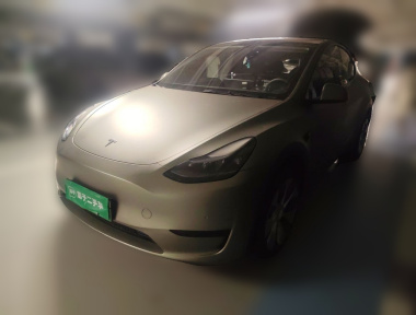 Tesla Model Y 2022 car image 