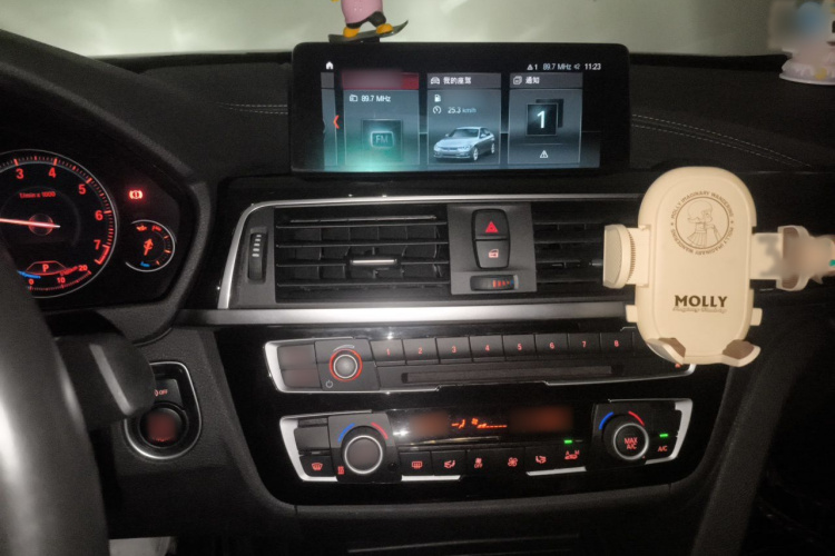 BMW 3 Series 2018 car image #17