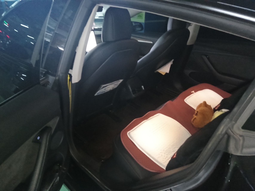 Tesla Model 3 2021 #3 Tesla Model 3 2021 immagine di auto #3