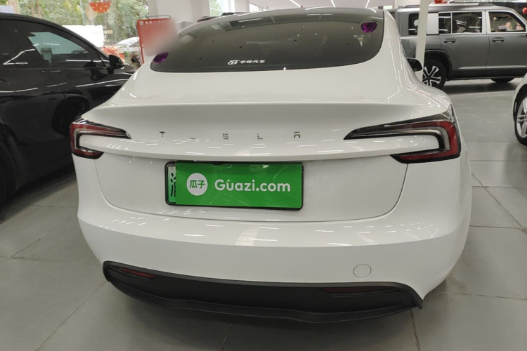 Tesla Model 3 2025 #6 Tesla Model 3 2025 car image #6