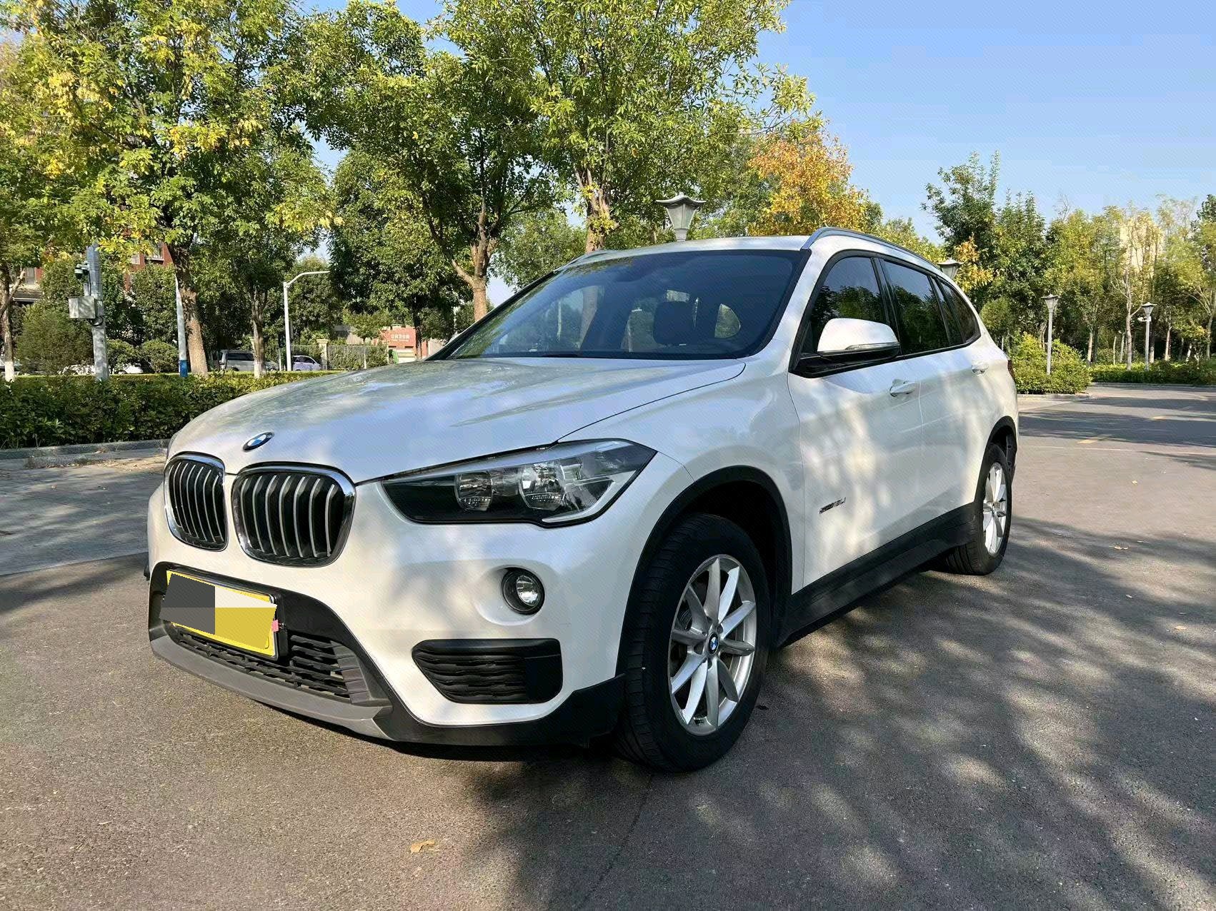 BMW X1 2017 car image 