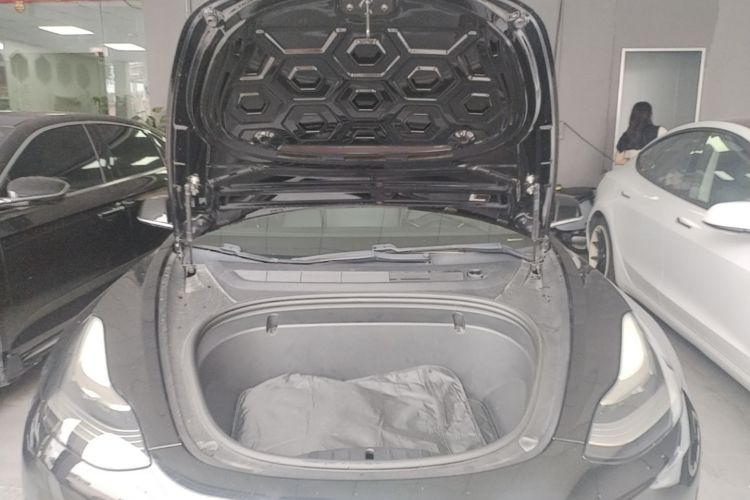 Tesla Model 3 2020 car image #22