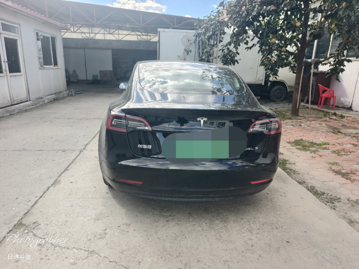 Tesla Model 3 2021 #3 Tesla Model 3 2021 car image #3