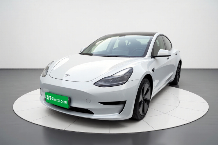Tesla Model 3 2021 #2 Tesla Model 3 2021 car image #2