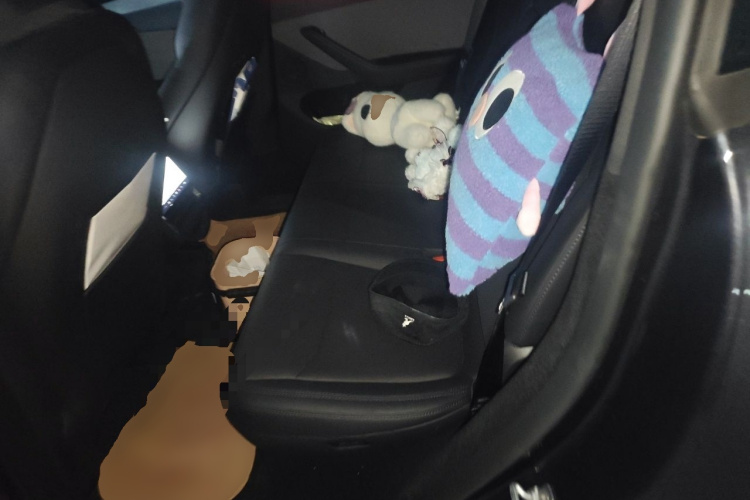 Tesla Model Y 2026 car image #10