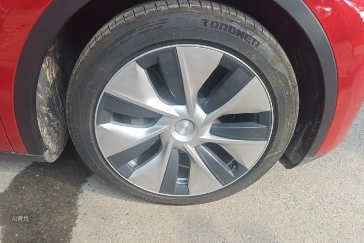 Tesla Model Y 2021 car image #9