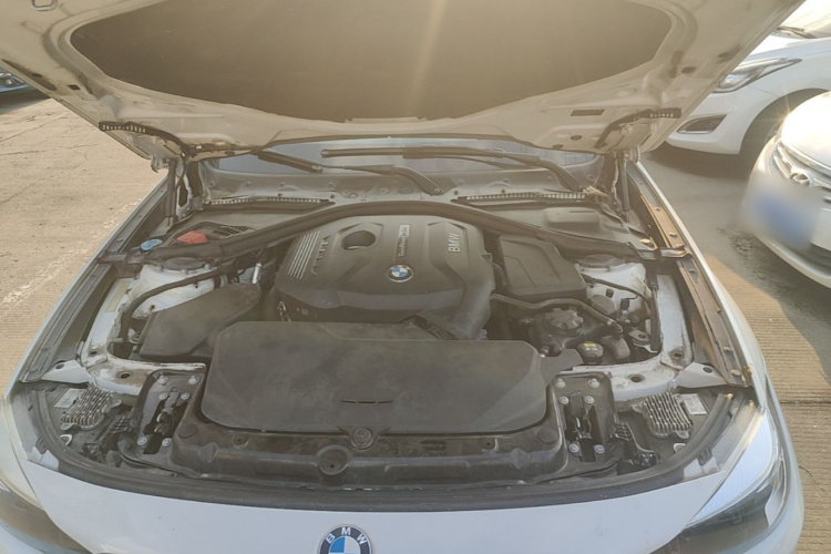 BMW 3 Series GT 2018 car image #20