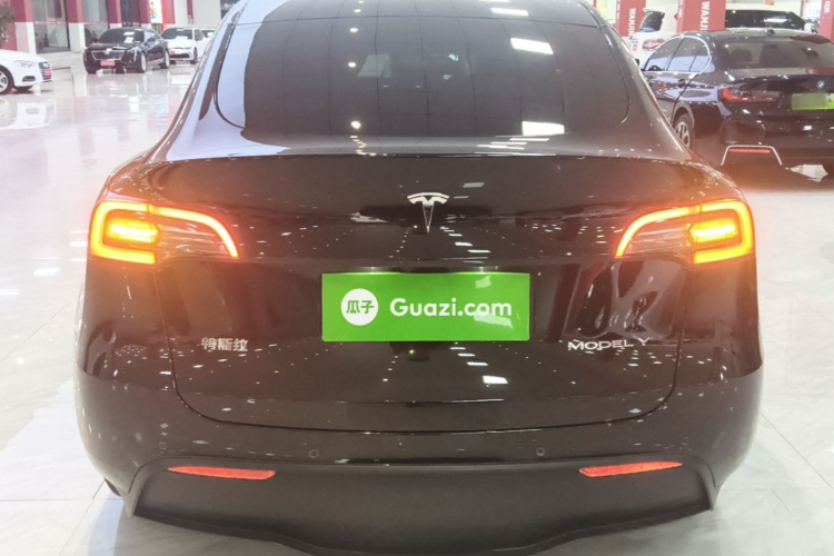 Tesla Model Y 2021 #6 Tesla Model Y 2021 car image #6