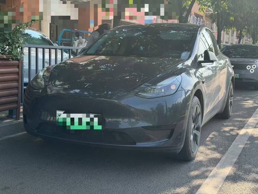 Tesla Model Y 2024 car image 