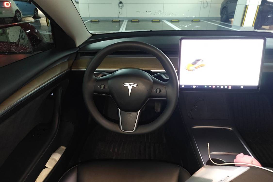 Tesla Model 3 2021 #22 Tesla Model 3 2021 car image #22