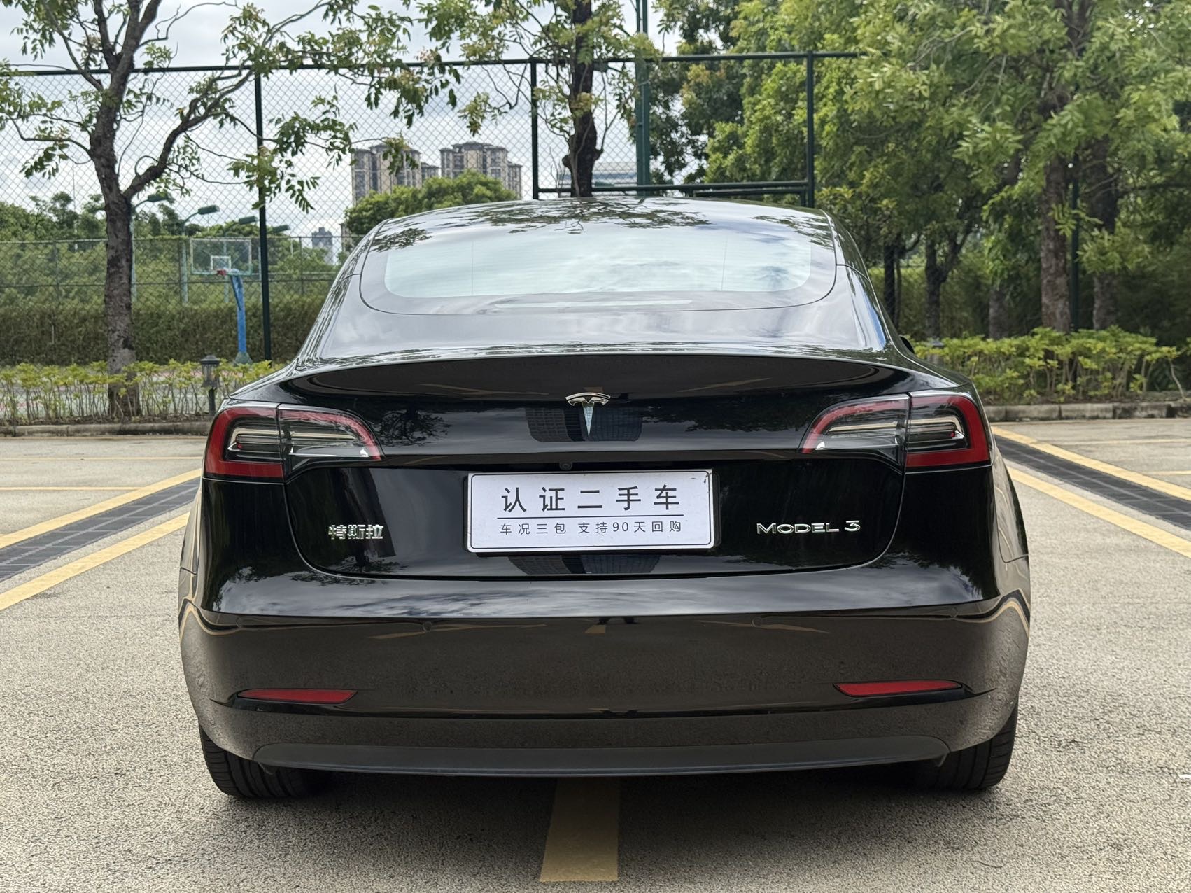Tesla Model 3 2021 #10 Tesla Model 3 2021 car image #10