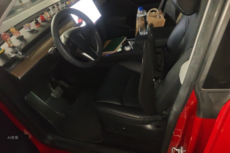 Tesla Model Y 2021 car image #17