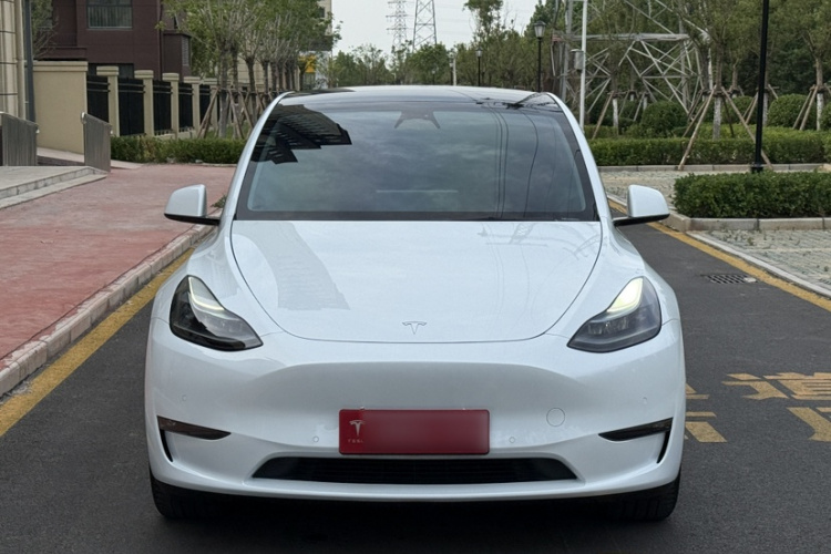 Tesla Model Y 2024 #5 Tesla Model Y 2024 car image #5