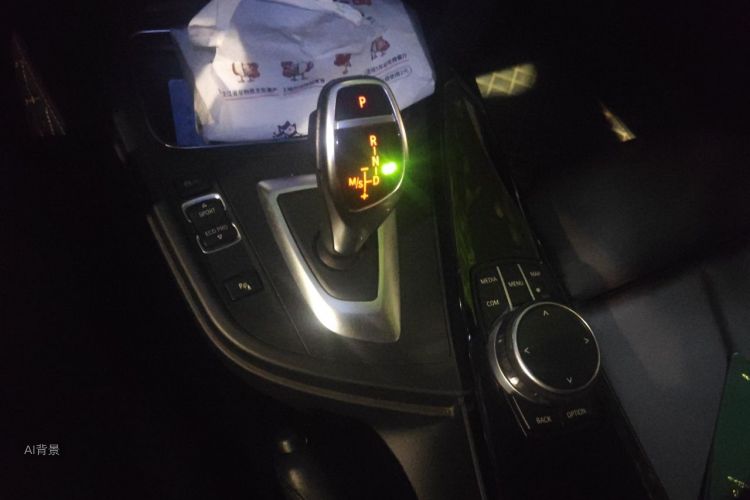 BMW 3 Series 2018 car image #16