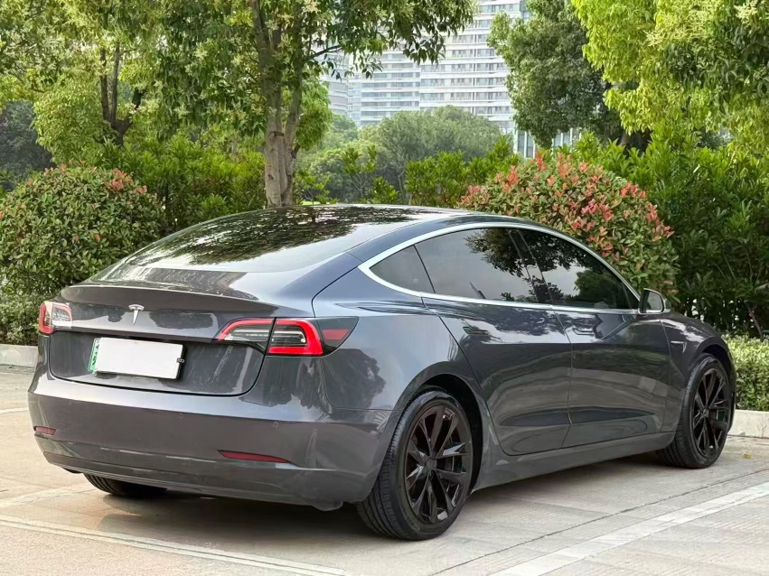 Tesla Model 3 2021 #5 Tesla Model 3 2021 car image #5