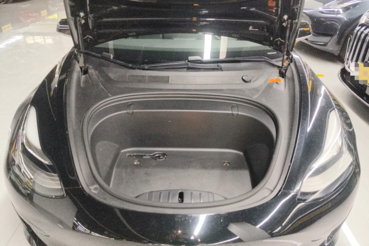 Tesla Model 3 2020 #20 Tesla Model 3 2020 car image #20