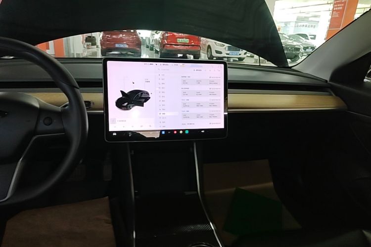 Tesla Model 3 2020 car image #13