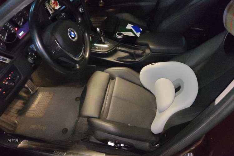 BMW 3 Series 2018 car image #17