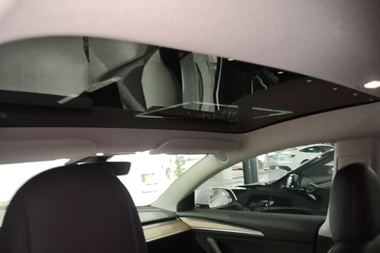 Tesla Model 3 2021 #20 Tesla Model 3 2021 imagem de carro #20