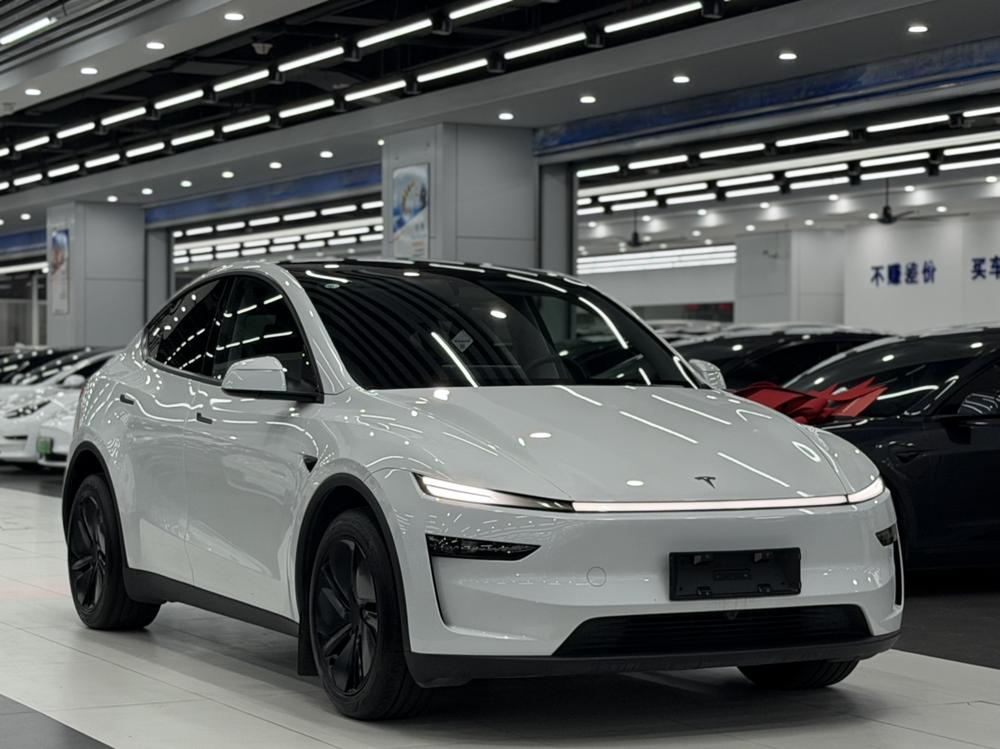 Tesla Model Y 2025 car image #3
