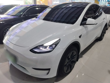 Tesla Model Y 2024 Tesla Model Y 2024 car image