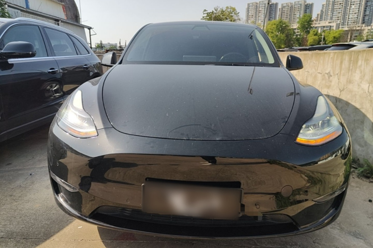 Tesla Model Y 2023 car image #3