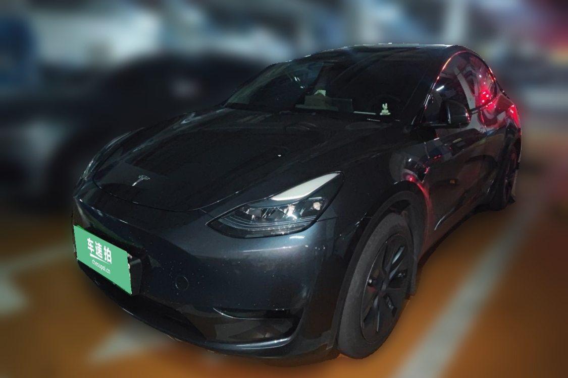 Tesla Model Y 2024 car image 