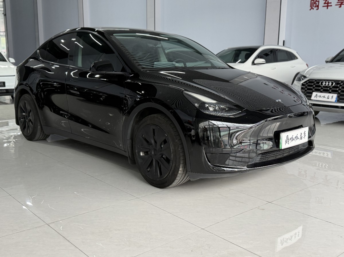 Tesla Model Y 2024 car image #3