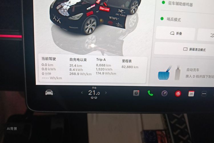 Tesla Model Y 2023 car image #14